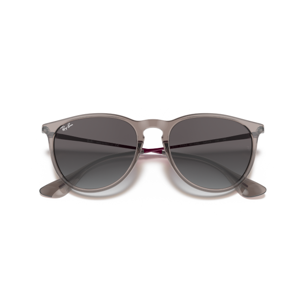 RB 4171 65138G 54 Ray-Ban ERIKA Güneş Gözlüğü