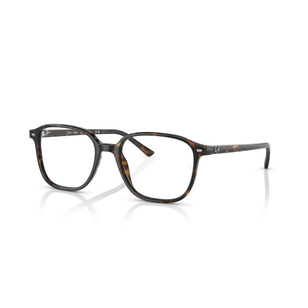 RB 2193 902/GH 53 Ray-Ban LEONARD TRANSITIONS® Fotokromik Güneş Gözlüğü