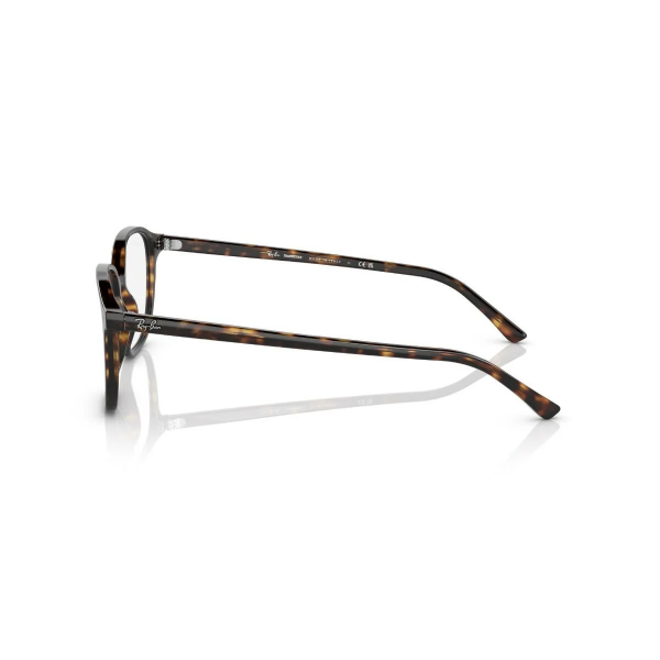 RB 2193 902/GH 53 Ray-Ban LEONARD TRANSITIONS® Fotokromik Güneş Gözlüğü