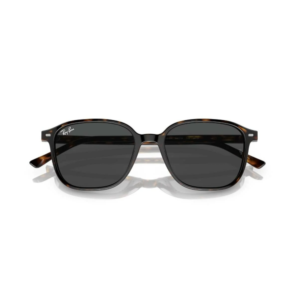 RB 2193 902/GH 53 Ray-Ban LEONARD TRANSITIONS® Fotokromik Güneş Gözlüğü