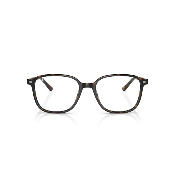 RB 2193 902/GH 53 Ray-Ban LEONARD TRANSITIONS® Fotokromik Güneş Gözlüğü