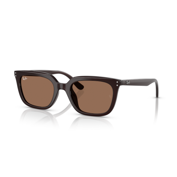 RB 4439D 623173 54 Ray-Ban Güneş Gözlüğü