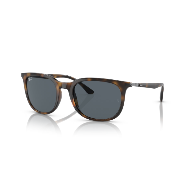 RB 4386 710/R5 54 Ray-Ban Güneş Gözlüğü