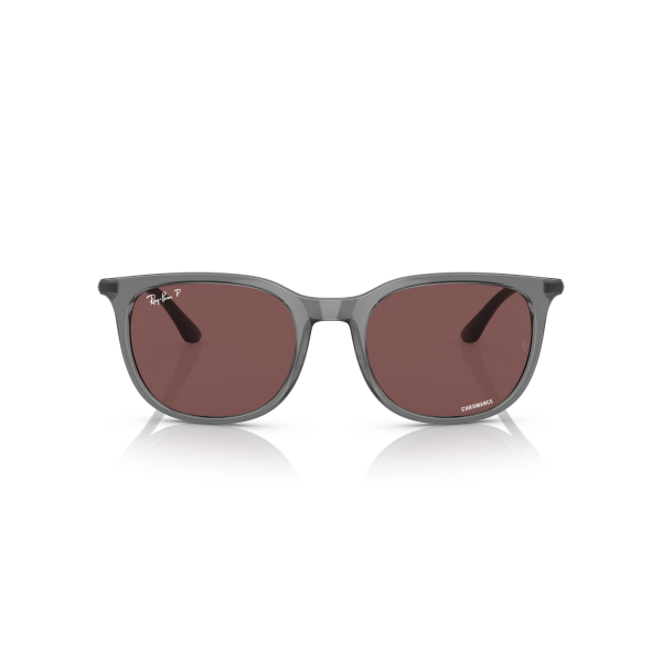 RB 4386 6650AF 54 Ray-Ban Polarize Güneş Gözlüğü