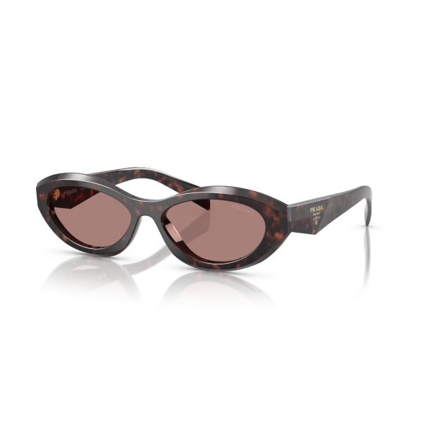 PR 26ZS 17N60B 55 Prada Güneş Gözlüğü