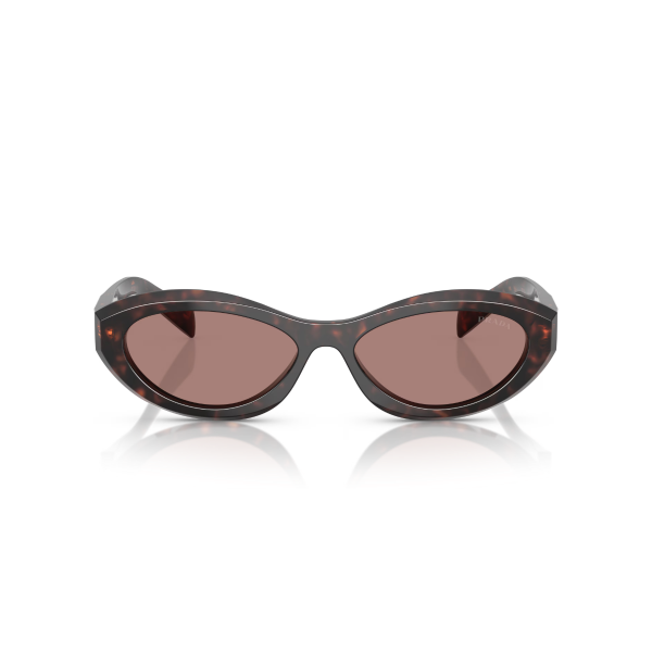 PR 26ZS 17N60B 55 Prada Güneş Gözlüğü