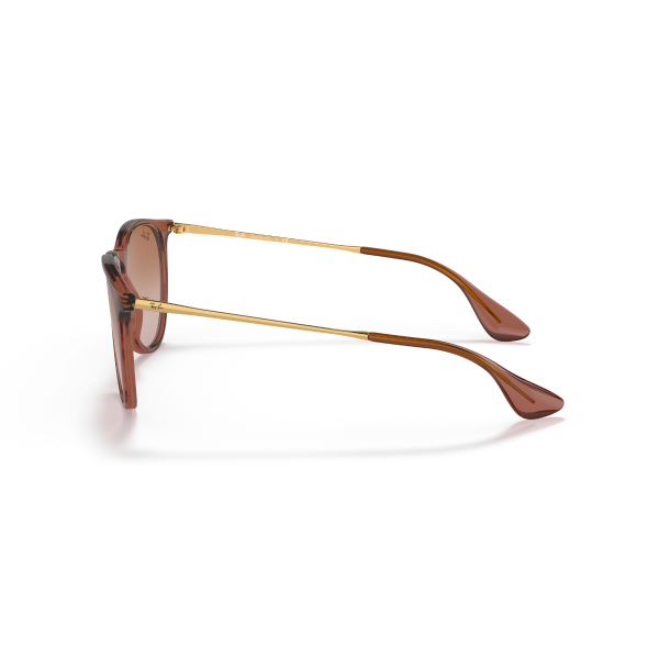 RB 4171 659013 54 Ray-Ban ERIKA Güneş Gözlüğü