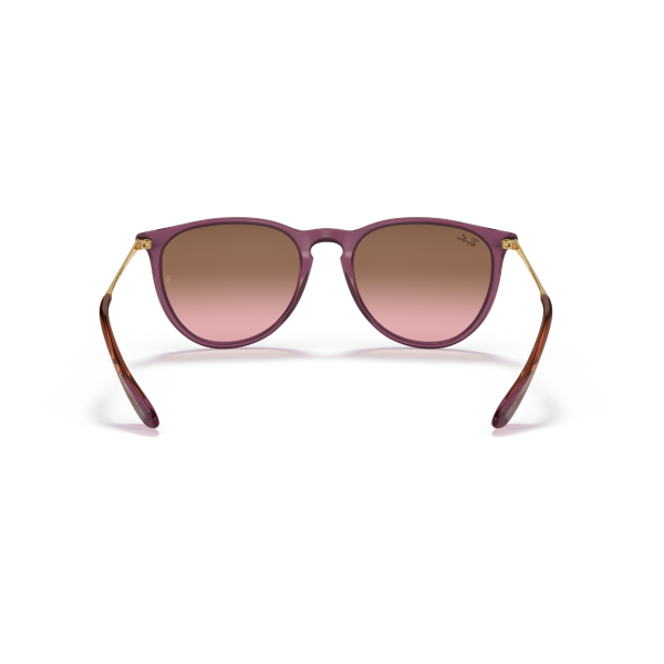 RB 4171 659114 54 Ray-Ban ERIKA Güneş Gözlüğü