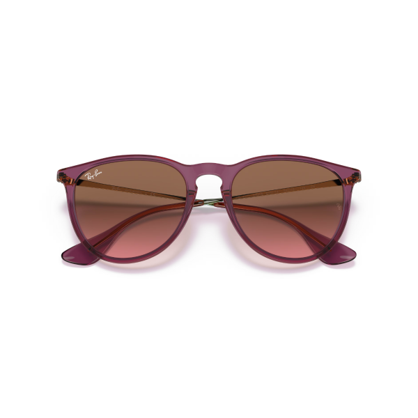 RB 4171 659114 54 Ray-Ban ERIKA Güneş Gözlüğü