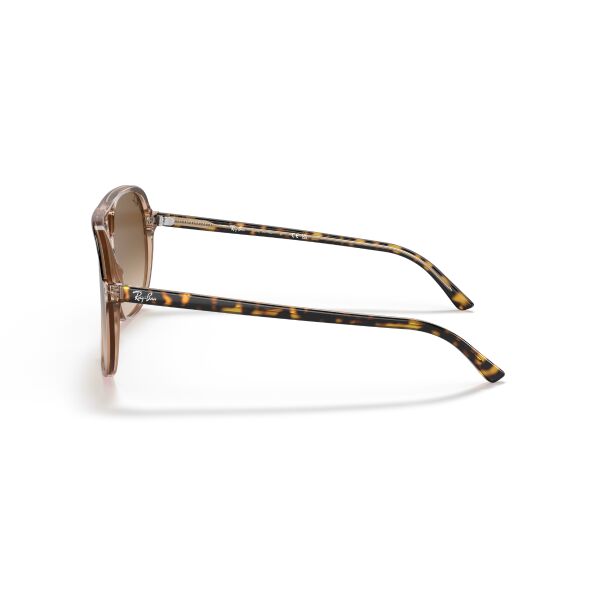 RB 2198 129251 56 Ray-Ban BILL Güneş Gözlüğü