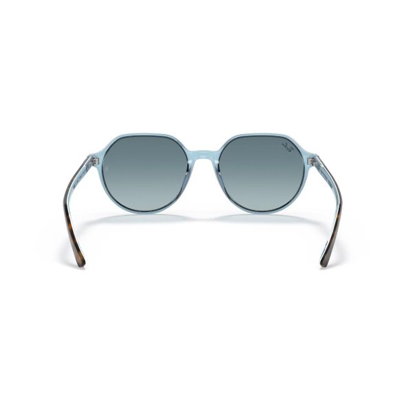 RB 2195 13163M 55 Ray-Ban THALIA Güneş Gözlüğü