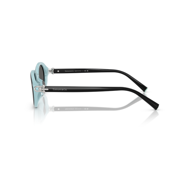 TF 4242D 8055S4 54 Tiffany & Co. Güneş Gözlüğü