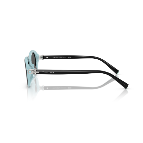 TF 4242D 8055S4 54 Tiffany & Co. Güneş Gözlüğü