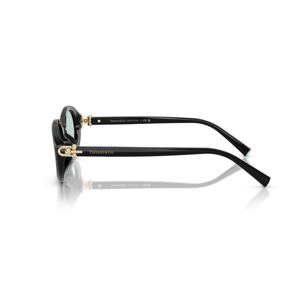 TF 4242D 8001D9 54 Tiffany & Co. Güneş Gözlüğü