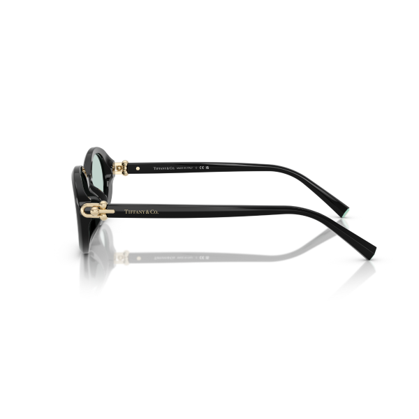 TF 4242D 8001D9 54 Tiffany & Co. Güneş Gözlüğü