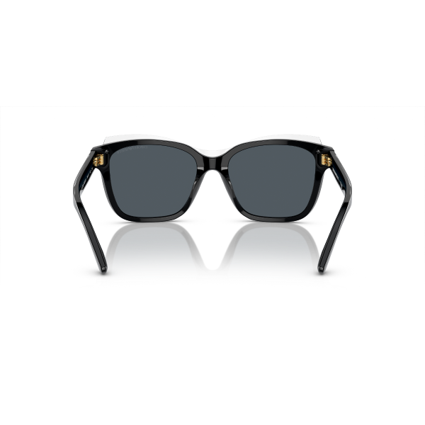 EA 4209 605187 54 Emporio Armani Güneş Gözlüğü