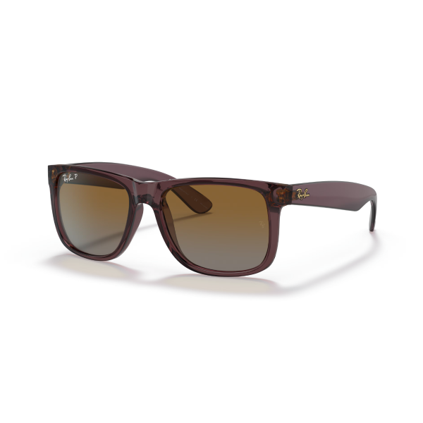 RB 4165 6597T5 55 Ray-Ban JUSTIN Polarize Güneş Gözlüğü