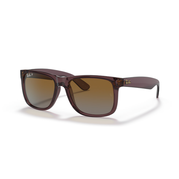 RB 4165 6597T5 55 Ray-Ban JUSTIN Polarize Güneş Gözlüğü