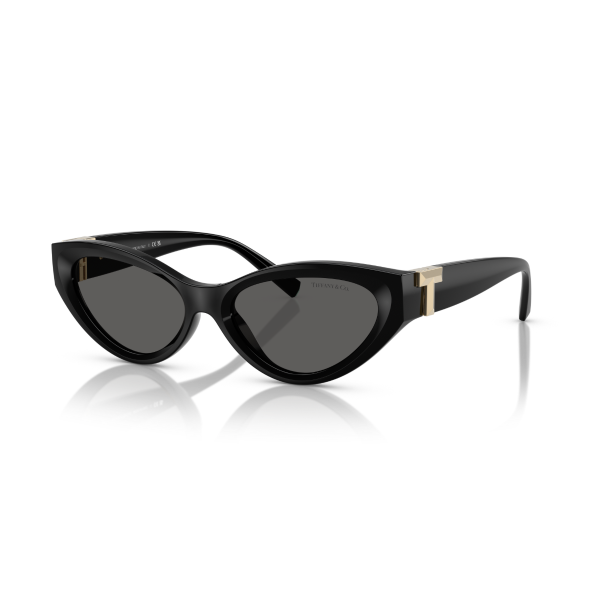 TF 4225U 8001S4 54 Tiffany & Co. Güneş Gözlüğü