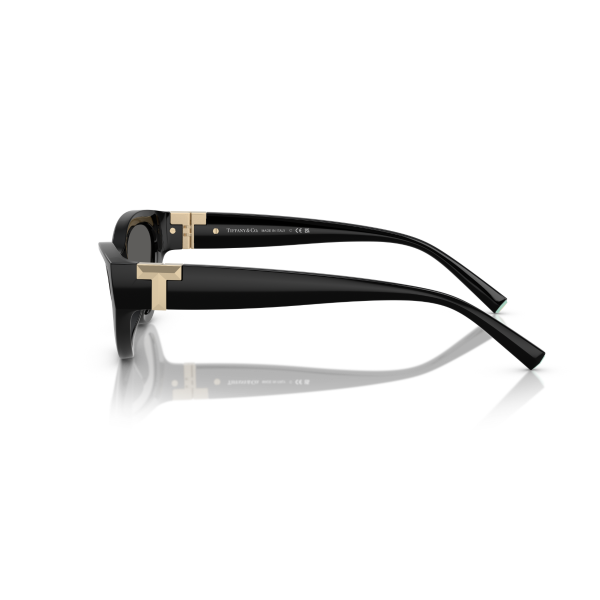 TF 4225U 8001S4 54 Tiffany & Co. Güneş Gözlüğü