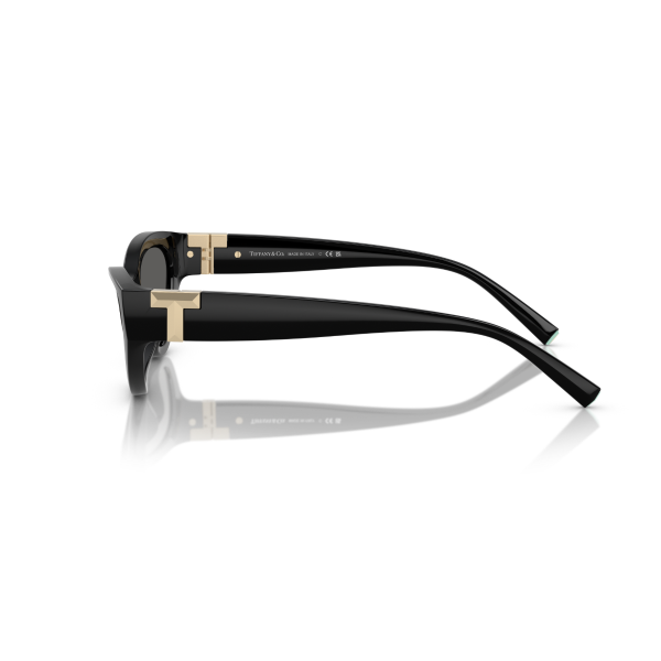 TF 4225U 8001S4 54 Tiffany & Co. Güneş Gözlüğü