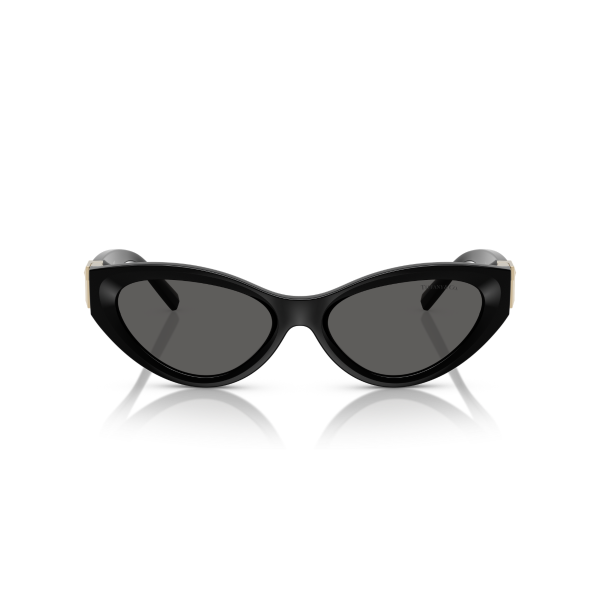 TF 4225U 8001S4 54 Tiffany & Co. Güneş Gözlüğü