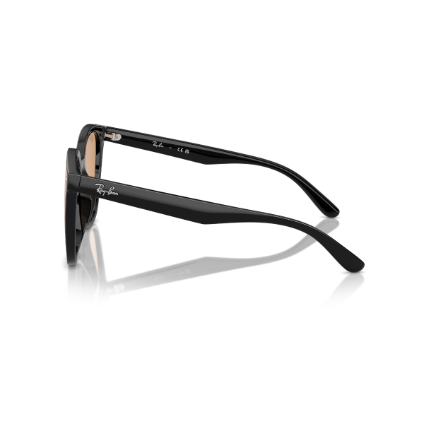 RB 4423D 601/93 66 Ray-Ban Güneş Gözlüğü