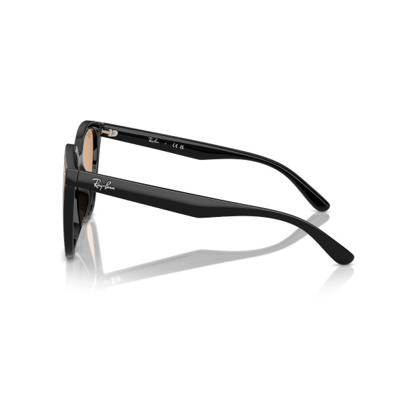 RB 4423D 601/93 66 Ray-Ban Güneş Gözlüğü