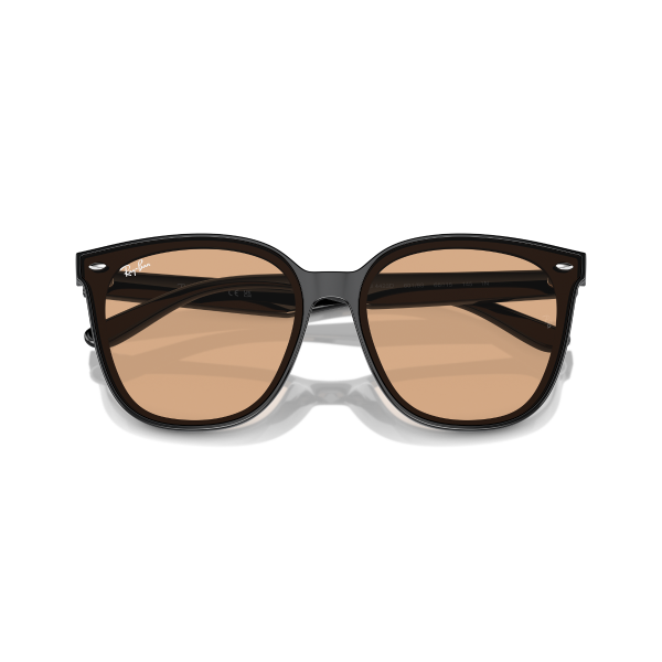 RB 4423D 601/93 66 Ray-Ban Güneş Gözlüğü