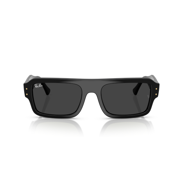 RB 4454 667748 53 Ray-Ban LUKAS Polarize Güneş Gözlüğü