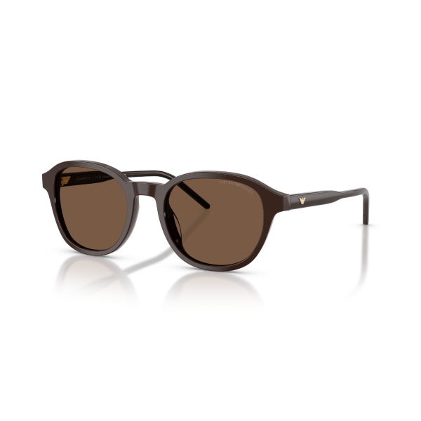 EA 4247U 625573 51 Emporio Armani Güneş Gözlüğü