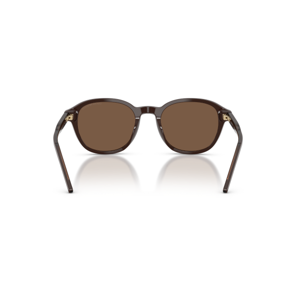 EA 4247U 625573 51 Emporio Armani Güneş Gözlüğü