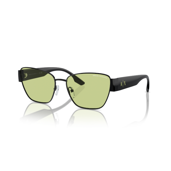 AX 2051S 6000/2 56 Armani Exchange Güneş Gözlüğü