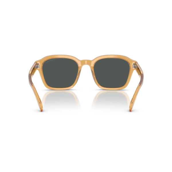 EA 4245U 624687 54 Emporio Armani Güneş Gözlüğü