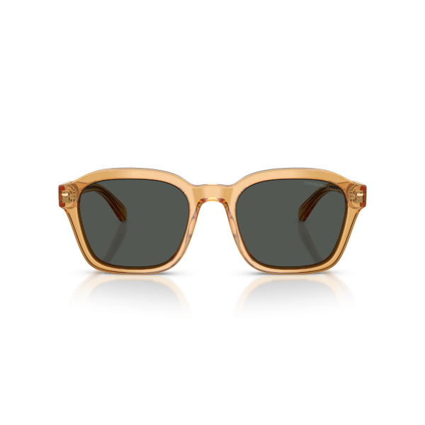 EA 4245U 624687 54 Emporio Armani Güneş Gözlüğü