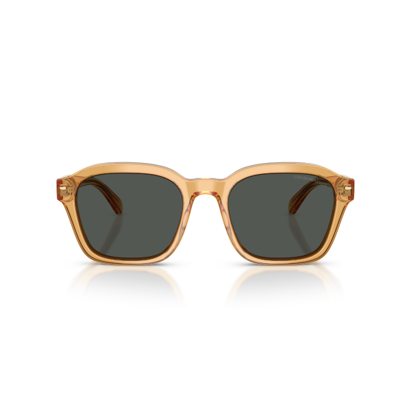 EA 4245U 624687 54 Emporio Armani Güneş Gözlüğü