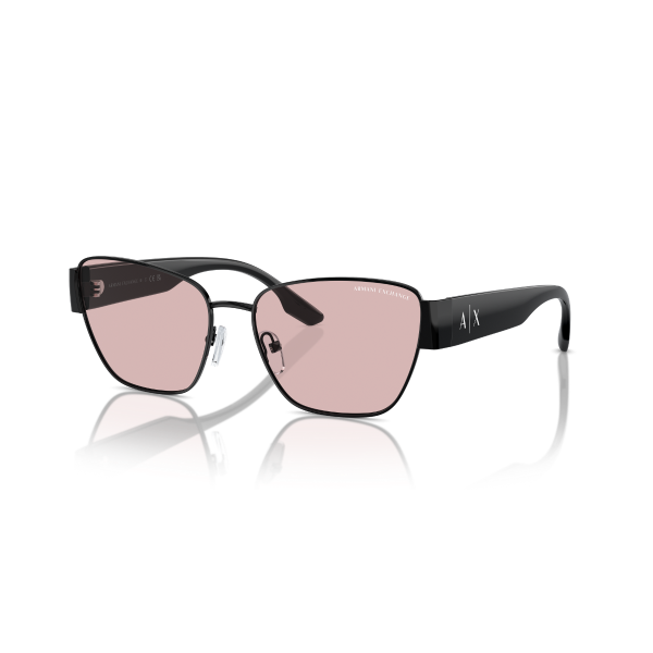 AX 2051S 6000/5 56 Armani Exchange Güneş Gözlüğü