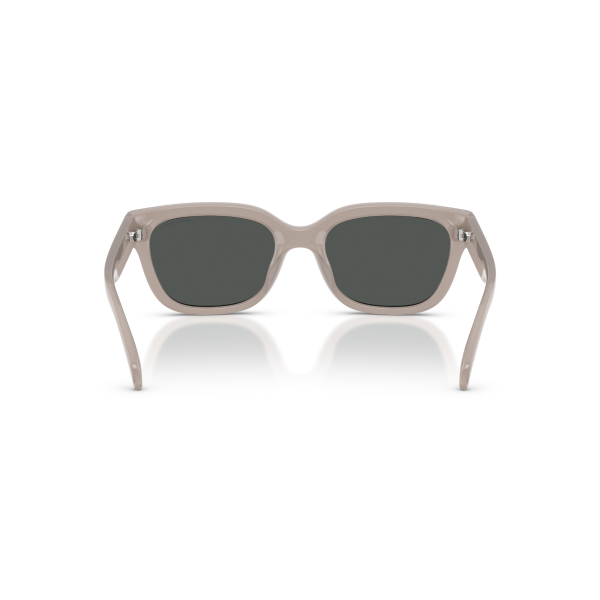 AX 4155SU 837487 54 Armani Exchange Güneş Gözlüğü