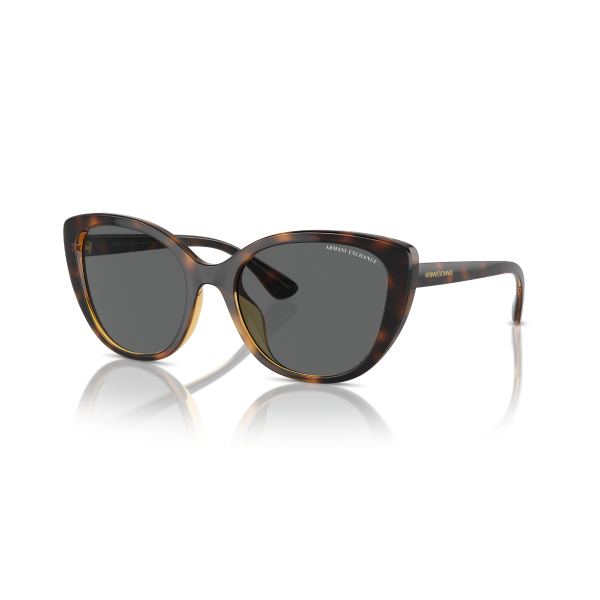 AX 4111SU 821387 54 Armani Exchange Güneş Gözlüğü