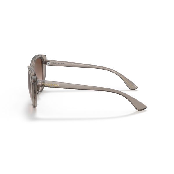 AX 4111SU 824013 54 Armani Exchange Güneş Gözlüğü