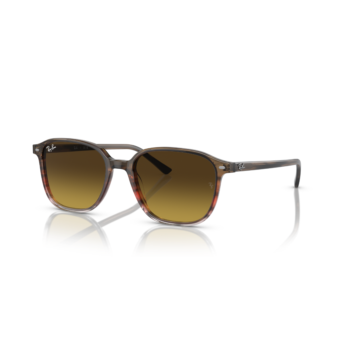 RB 2193 138085 53 Ray-Ban LEONARD Güneş Gözlüğü