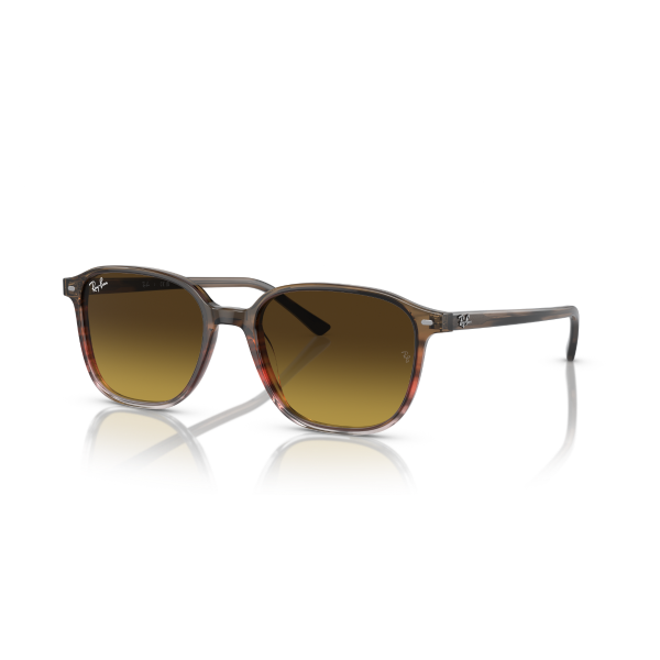 RB 2193 138085 53 Ray-Ban LEONARD Güneş Gözlüğü
