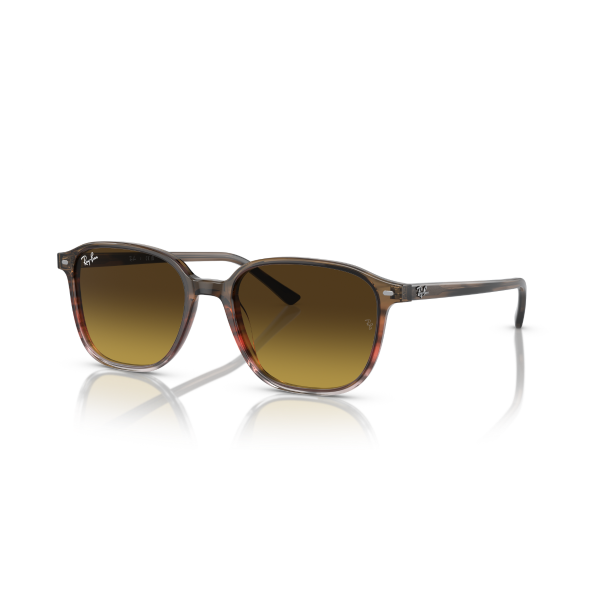 RB 2193 138085 53 Ray-Ban LEONARD Güneş Gözlüğü