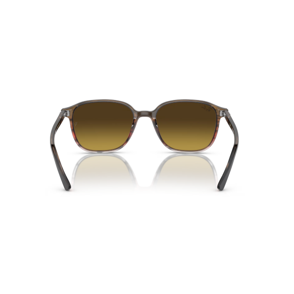 RB 2193 138085 53 Ray-Ban LEONARD Güneş Gözlüğü