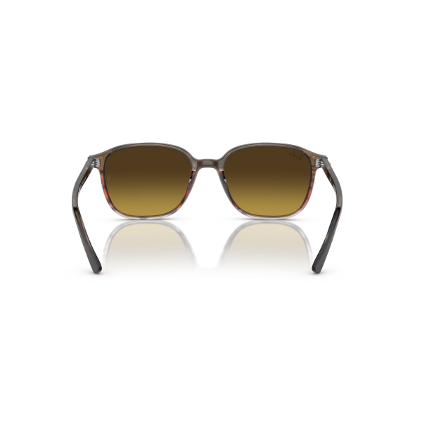 RB 2193 138085 53 Ray-Ban LEONARD Güneş Gözlüğü