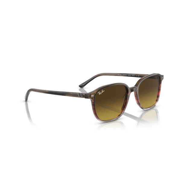 RB 2193 138085 53 Ray-Ban LEONARD Güneş Gözlüğü