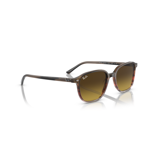 RB 2193 138085 53 Ray-Ban LEONARD Güneş Gözlüğü
