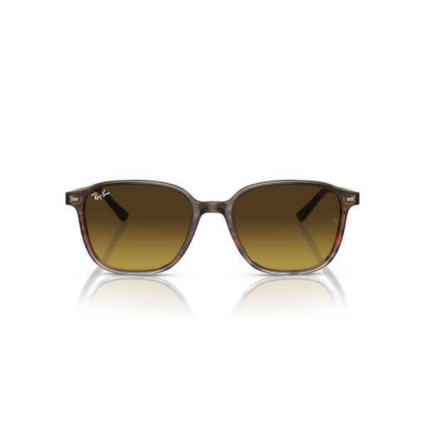 RB 2193 138085 53 Ray-Ban LEONARD Güneş Gözlüğü