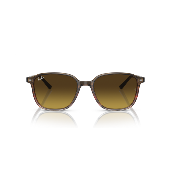 RB 2193 138085 53 Ray-Ban LEONARD Güneş Gözlüğü