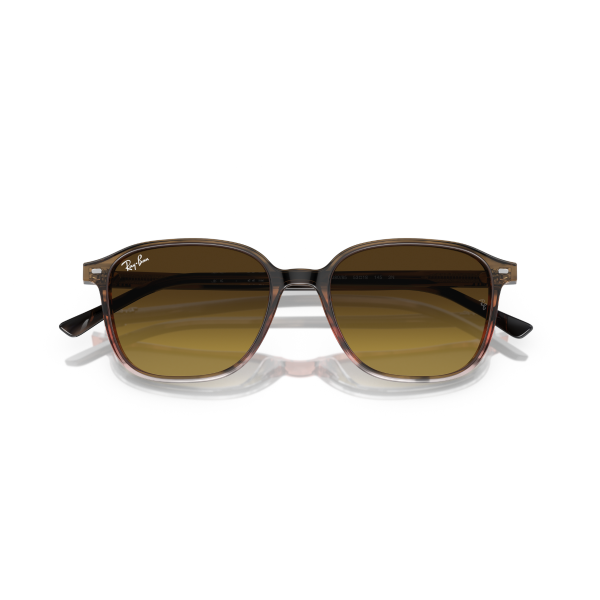 RB 2193 138085 53 Ray-Ban LEONARD Güneş Gözlüğü